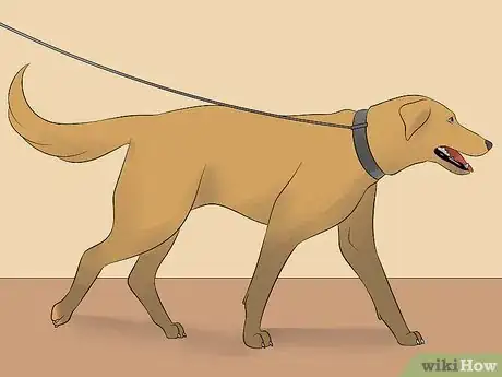 Image intitulée Make Your Dog Drink Water Step 7
