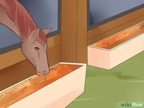 Image intitulée Treat Stomach Ulcers in Horses Step 5