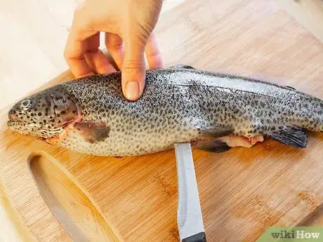 Image intitulée Fillet Trout Step 3