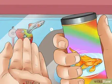 Image intitulée Look After Tropical Fish Step 12