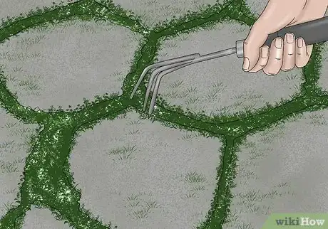 Image intitulée Clean Pavers Step 2