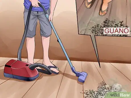 Image intitulée Get Rid of Bats Step 10