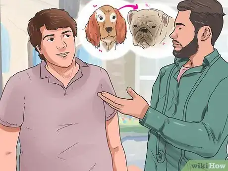 Image intitulée Cure Mange in Dogs Step 9