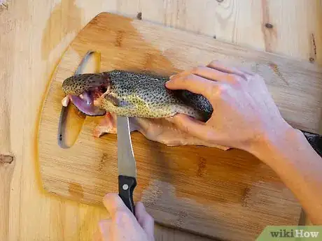 Image intitulée Fillet Trout Step 8