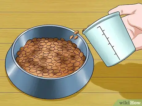 Image intitulée Help Your Dog Lose Weight Step 8