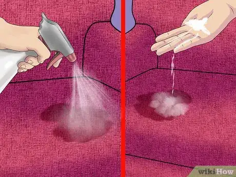 Image intitulée Remove the Smell of Cat or Dog Urine from Upholstery Step 6