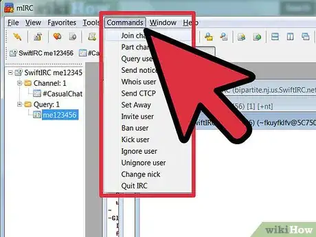 Image intitulée Use mIRC Step 10