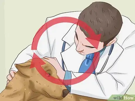 Image intitulée Treat Worms in Dogs Step 14