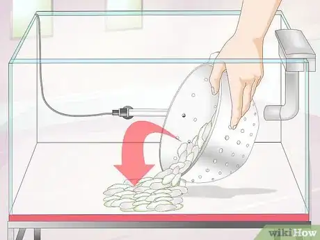 Image intitulée Clean Aquarium Gravel Step 27