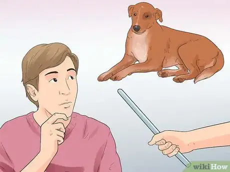 Image intitulée Rehabilitate an Overly Shy Dog Step 3