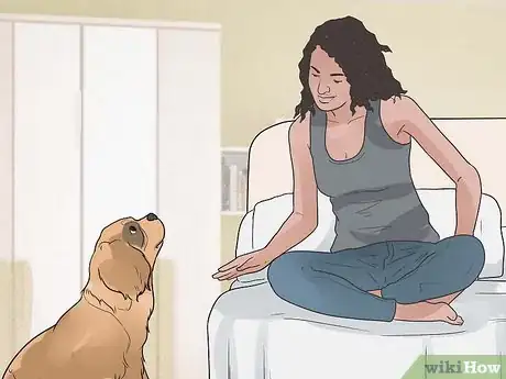Image intitulée Encourage Your Dog to Sleep in Your Bed Step 3