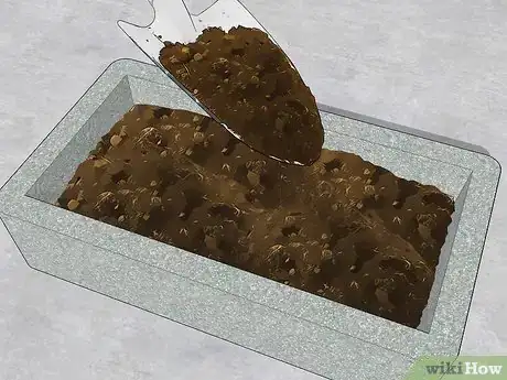 Image intitulée Make Hypertufa Planters Step 21