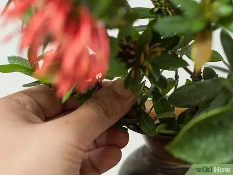 Image intitulée Make Floral Craft Arrangements Step 9