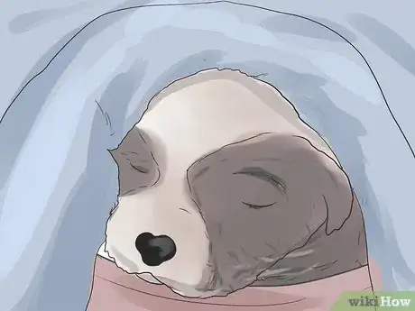 Image intitulée Control Arthritis Pain in Dogs Step 7