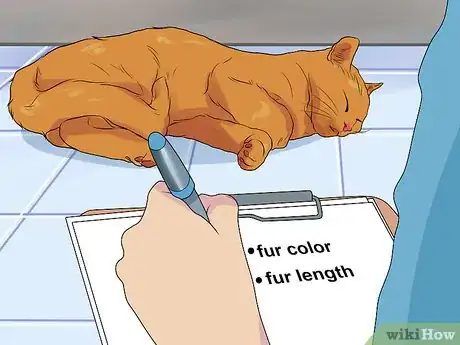 Image intitulée Make a Dichotomous Key Step 3