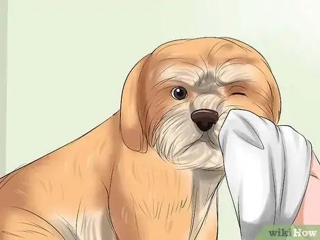 Image intitulée Bathe a Shih Tzu Puppy Step 11
