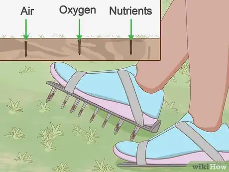 Image intitulée Get Green Grass Step 3
