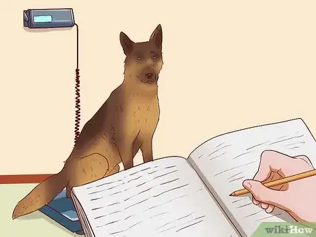 Image intitulée Get Dogs to Gain a Healthy Weight Step 1