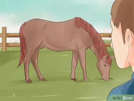 Image intitulée Treat Stomach Ulcers in Horses Step 2