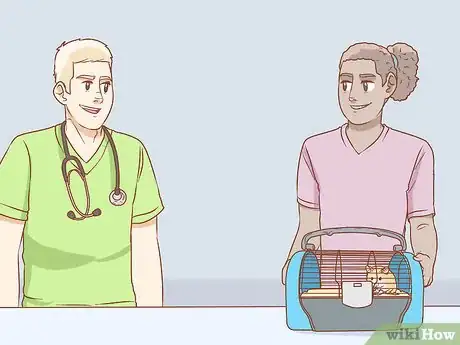 Image intitulée Care for Syrian Hamsters Step 19