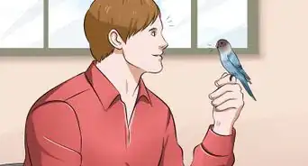 apprendre à parler à une perruche