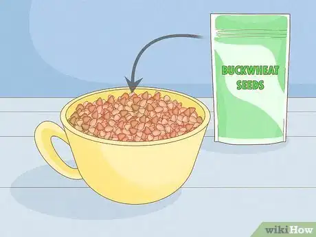 Image intitulée Grow Sprouts Step 6