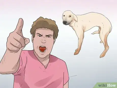 Image intitulée Rehabilitate an Overly Shy Dog Step 4