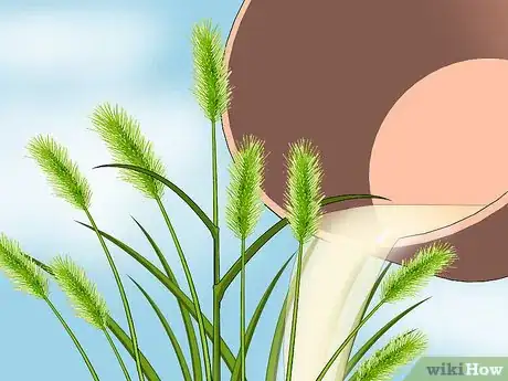Image intitulée Get Rid of Foxtails Step 7