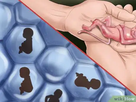 Image intitulée Prepare for in Vitro Fertilization Step 2