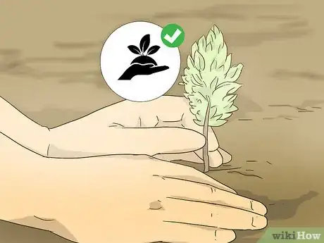 Image intitulée Celebrate Environment Day at School Step 6