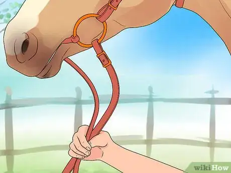 Image intitulée Bridle a Horse Step 24