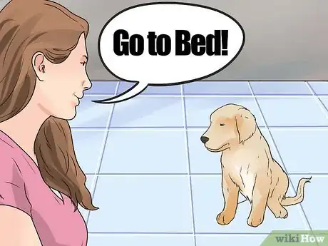 Image intitulée Encourage Your Dog to Sleep in Your Bed Step 4