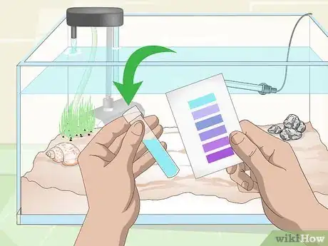 Image intitulée Cycle a Saltwater Tank Step 6