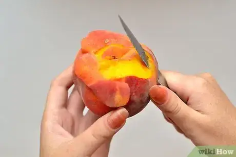 Image intitulée Make Fruit Puree Step 7