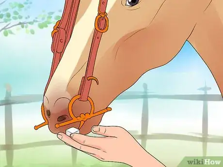 Image intitulée Bridle a Horse Step 18
