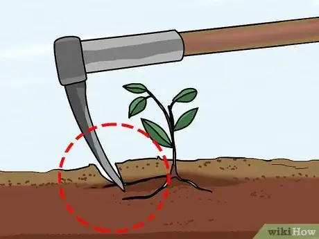 Image intitulée Hoe Weeds Step 5