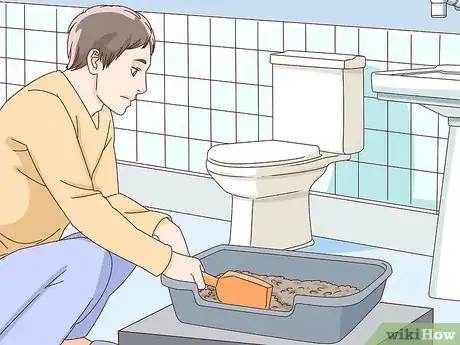 Image intitulée Help a Dog Pass an Obstruction Step 6