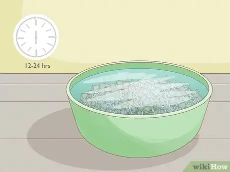 Image intitulée Grow Sprouts Step 8