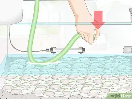Image intitulée Clean Aquarium Gravel Step 17