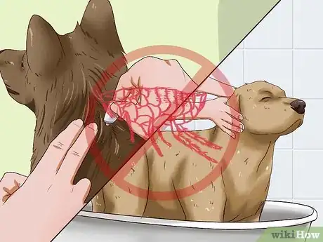 Image intitulée Treat Worms in Dogs Step 16