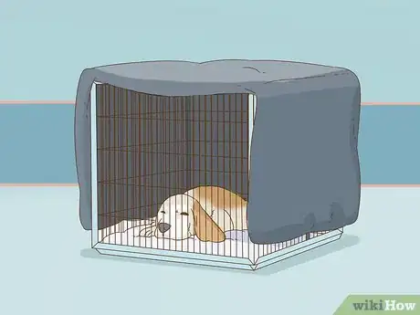 Image intitulée Reduce Anxiety in Dogs Step 4