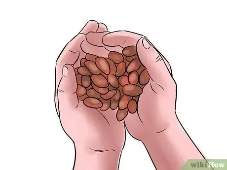 Image intitulée Grow Peanuts Step 2