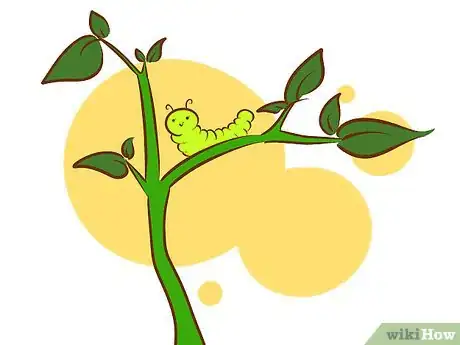 Image intitulée Create a Butterfly Garden Step 2