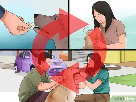Image intitulée Approach a Shy or Fearful Dog Step 17