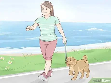 Image intitulée Stop a Puppy from Barking Step 8