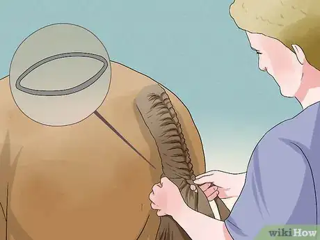 Image intitulée Plait a Horse's Tail Step 11
