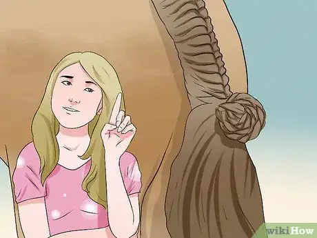 Image intitulée Plait a Horse's Tail Step 12
