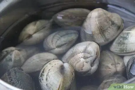 Image intitulée Cook Clams Step 14Bullet1