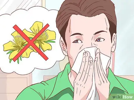 Image intitulée Fight Hay Fever Step 10