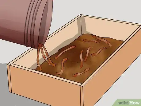 Image intitulée Make a Worm Bed Step 18